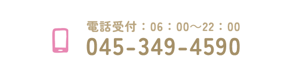 tel 045-349-4590